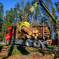 Forest Equipment & Supplies